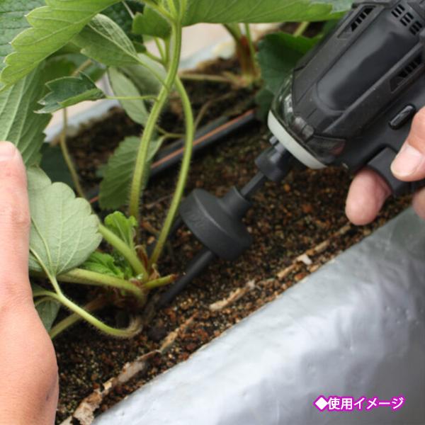 土牛 根こそぎソケット KNS-01 ビット本体一体型■工具 ◆定形外送料無料◆イチゴ 苗【新品】DOGYU 部品 パーツ ●Fs12a2265