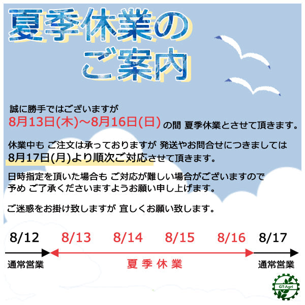 𖡼.𖤣𖥧𖡼. 夏季休暇のご案内 𖤣𖥧𖡼.𖤣𖥧