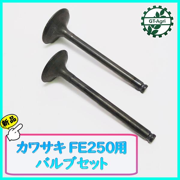 カワサキ FE250用 バルブセット【純正・新品】シリンダー◆定形外送料無料◆ ガソリンエンジン部品 パーツ kawasaki ●Es2a2181