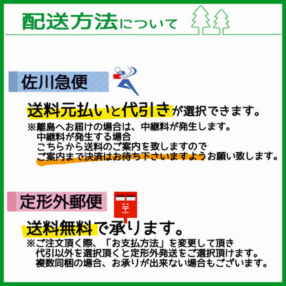 ● エアクリーナーエレメント カワサキ FH531Vなど 【純正部品 新品】■定形外送料無料■ 乾式 エンジン部品 農機 エアフィルター Es2a2152